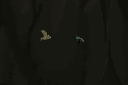 Blind as a Bat