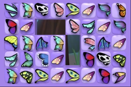 Butterfly Shimai