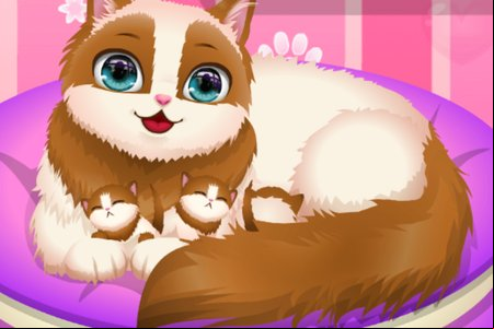 Cute Kitty Pregnant