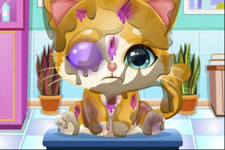 Doc HoneyBerry: Kitty Surgery