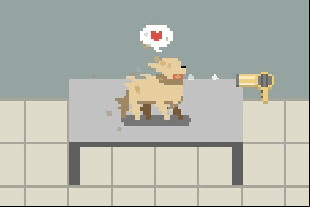 Dog Wash