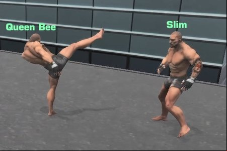 Fight Arena Online