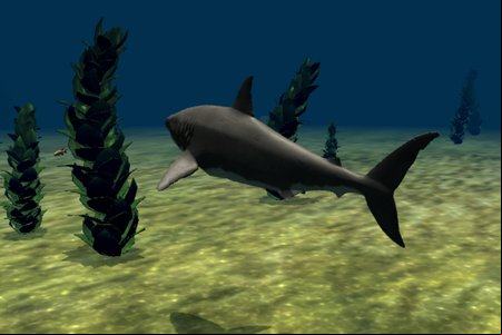 Great White