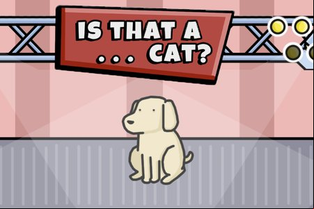 IS THAT A CAT?