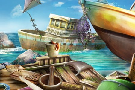 Island Survivors