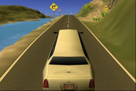 Limousine Driver