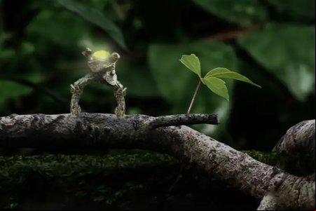 Seedlings
