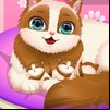 Cute Kitty Pregnant Game
