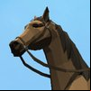 Horse Riding Simulator Game
