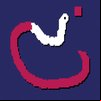 Mouse Snake Game