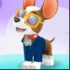 PAW Patrol: Picture PAWfect Dress-Up Game